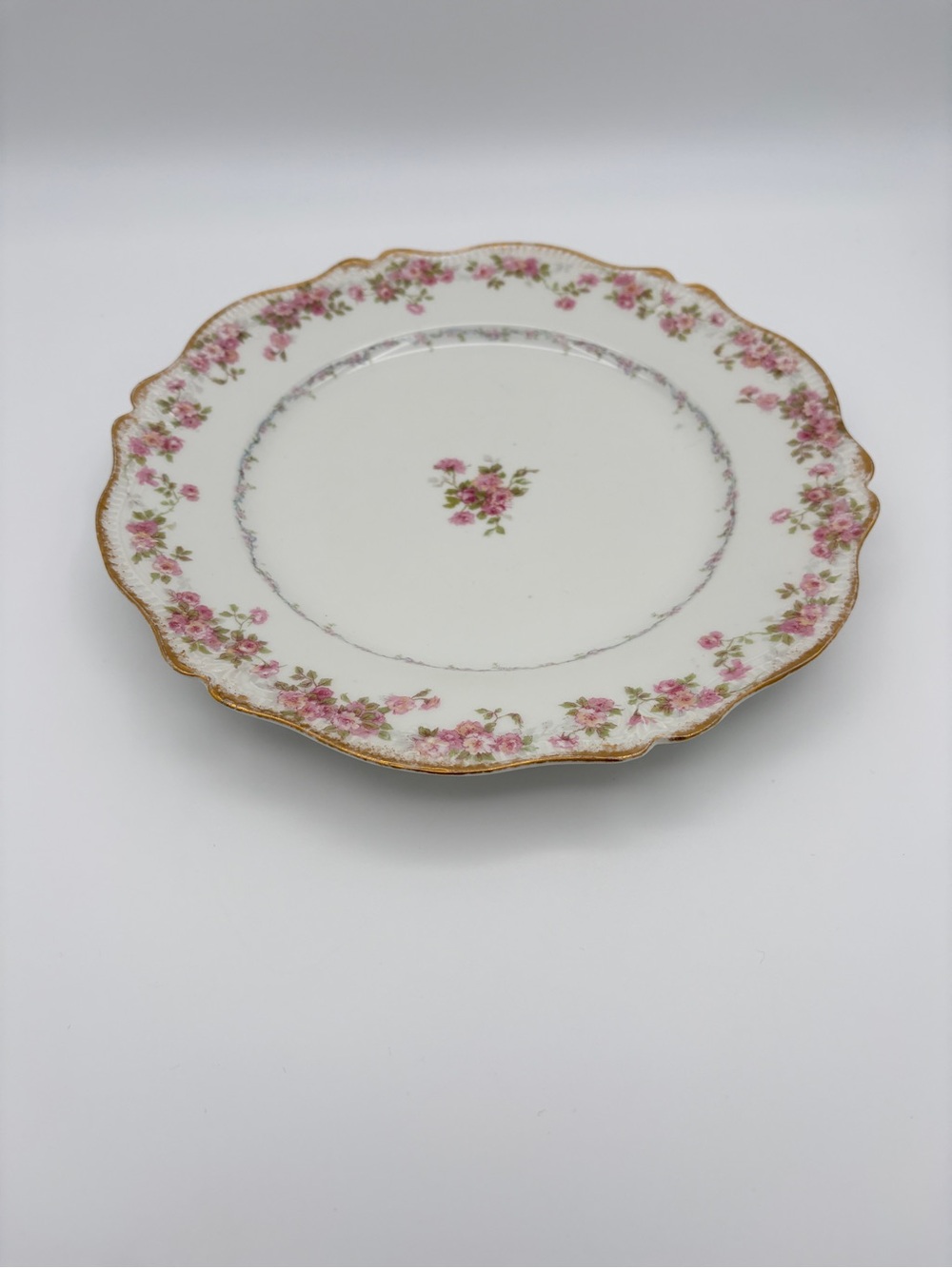 Limoges CH Field Haviland GDA France 9 3/4 inch Floral Plate